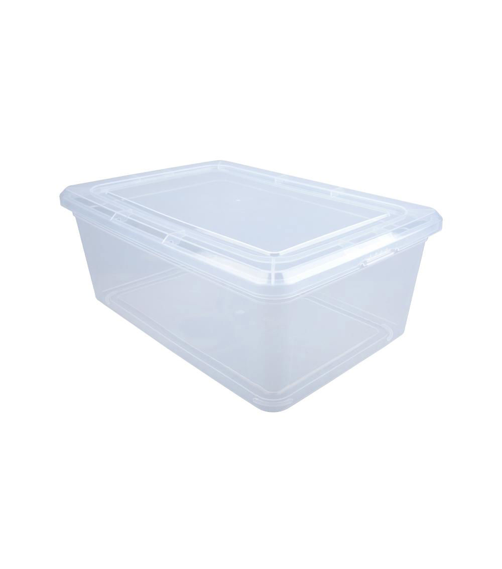 Storage Case with Lid, Clear ( 21.49x31.70x12.29cm)
