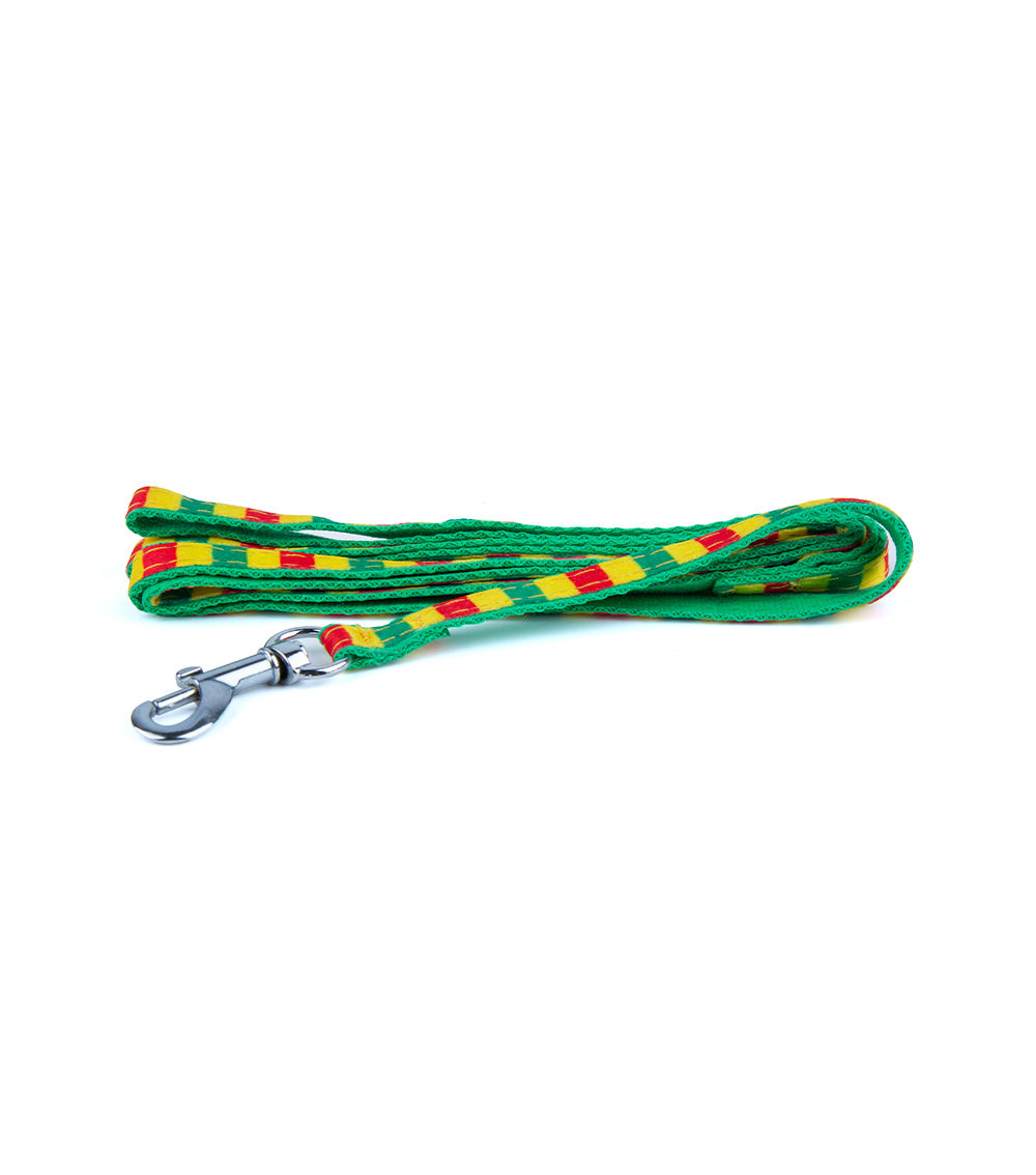 Dog Leash Border Small – Durable Adjustable Pet Walking Lead
