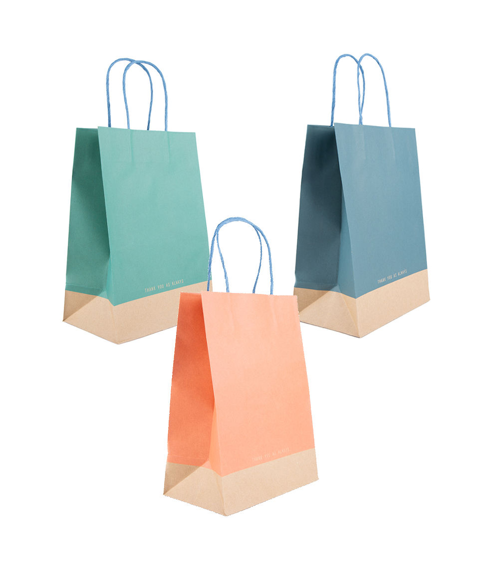 Paper Handle Bag, Assorted (1 pc) - 28cm x 20cm x 12cm