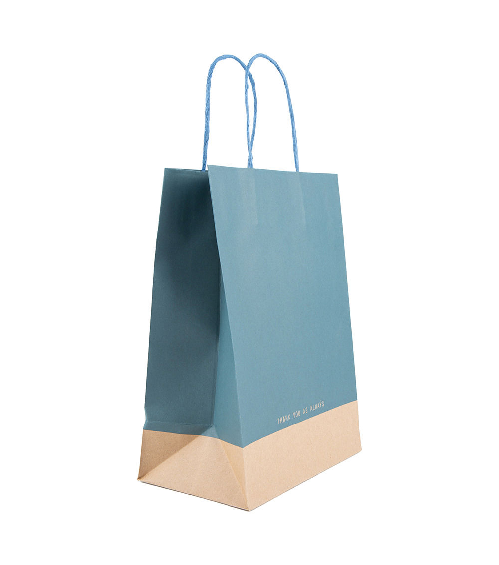 Paper Handle Bag, Assorted (1 pc) - 28cm x 20cm x 12cm