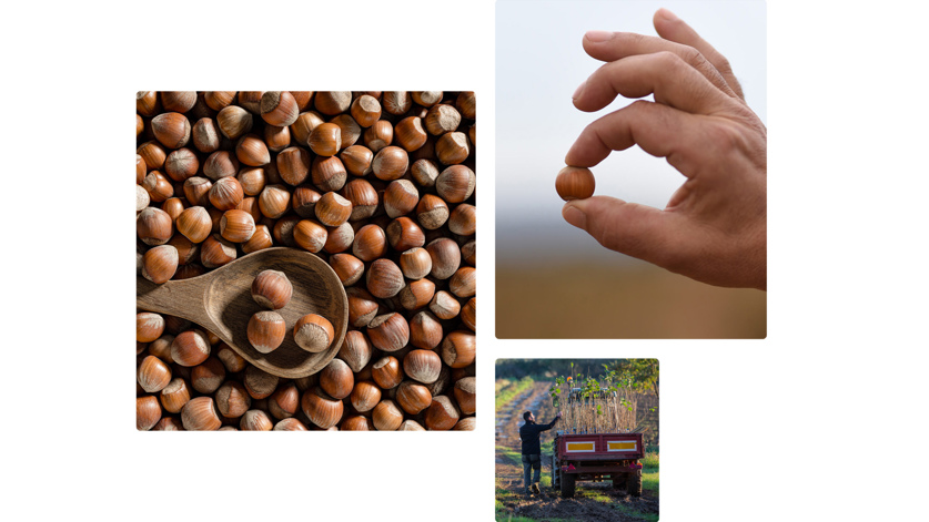 Wafer Gardena Hazelnut – with Italian hazelnuts