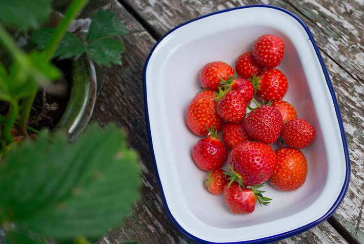 How to grow your own strawberries