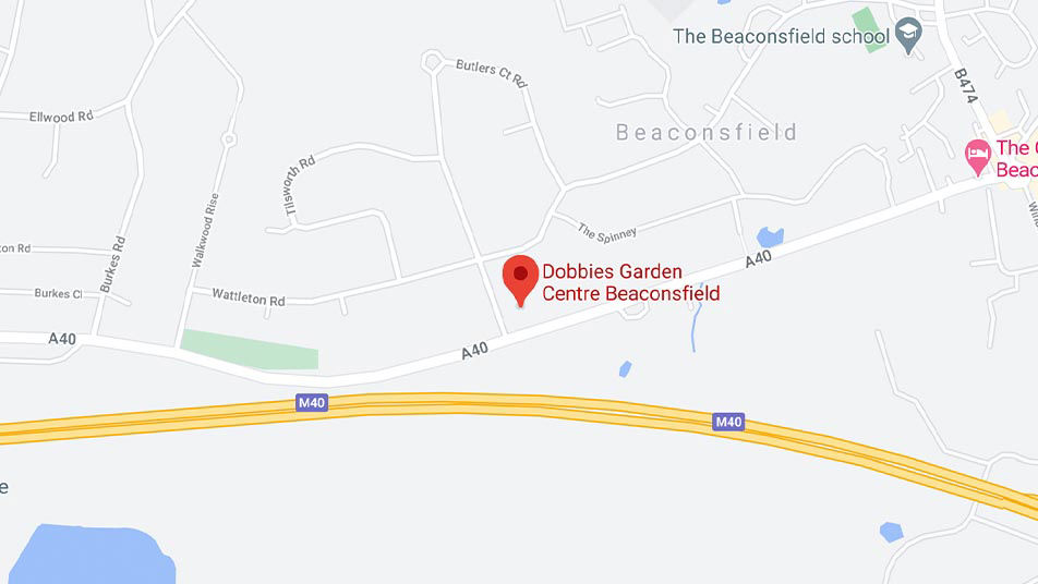 dobbies-beaconsfield.jpg