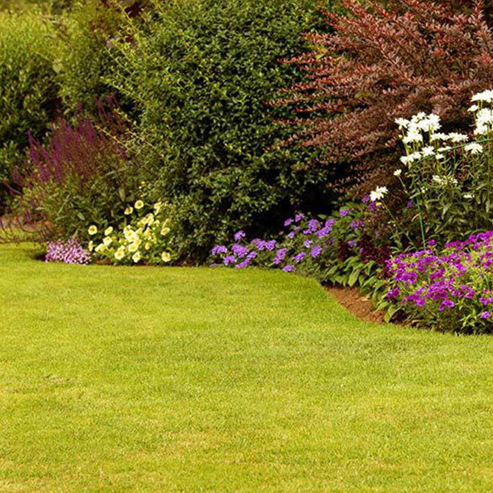 Dobbies lawn scarifier new arrivals