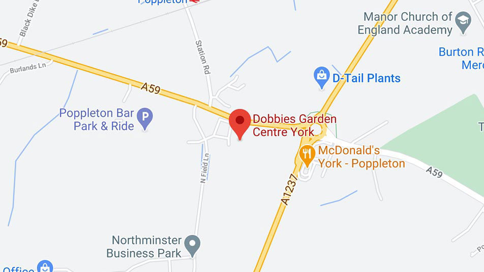 dobbies-york.jpg