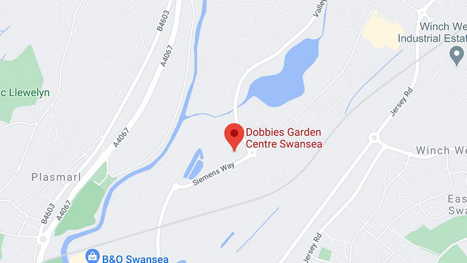 dobbies-swansea.jpg
