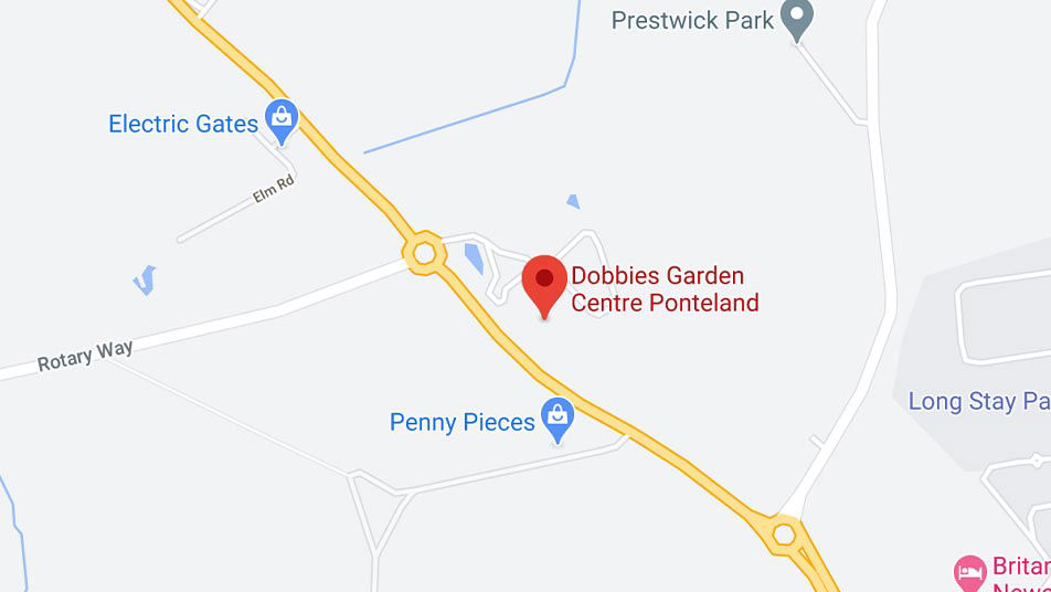 dobbies-ponteland.jpg