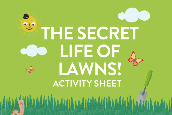 The secret life of lawns