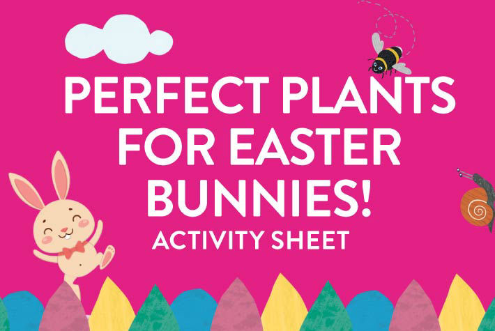 Perfect plants for easter bunnies