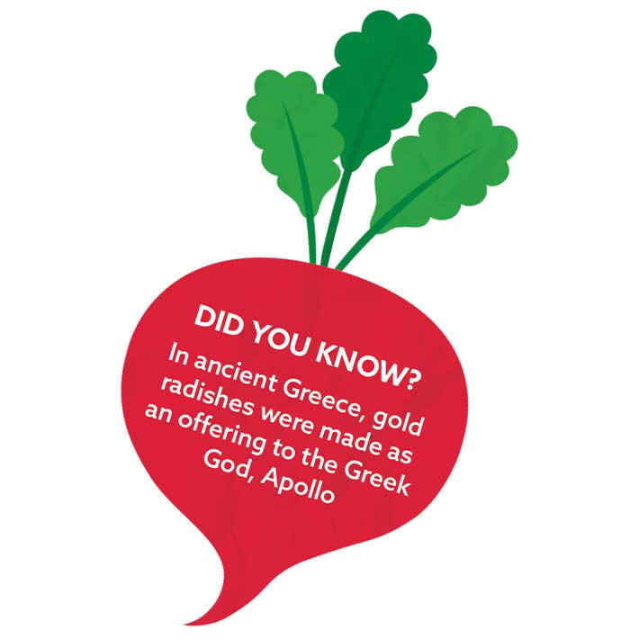 pr-raddish-5.jpg