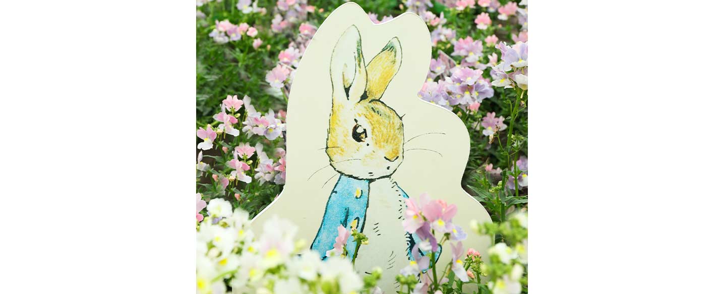 peter-rabbit-ambassadow-header.jpg
