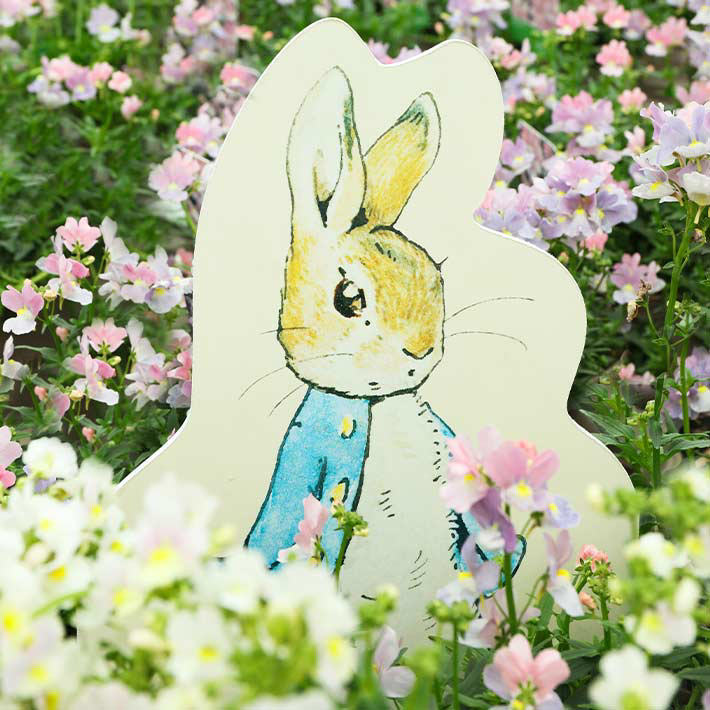 Peter Rabbit