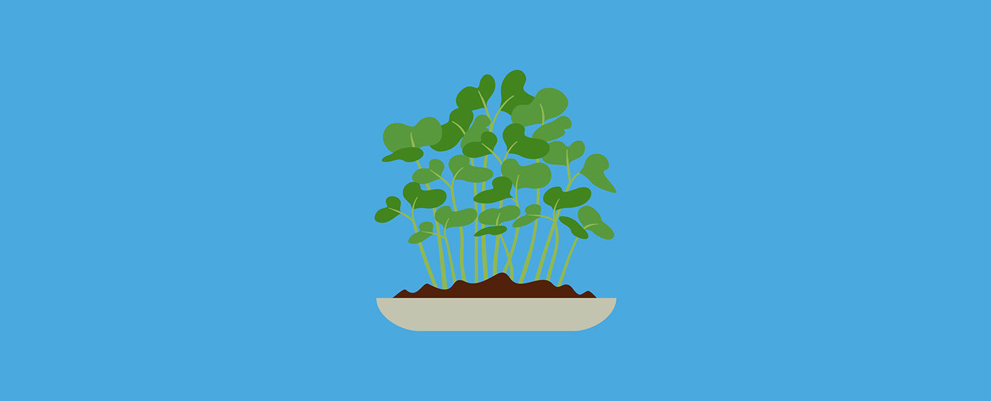 Magnificent Microgreens