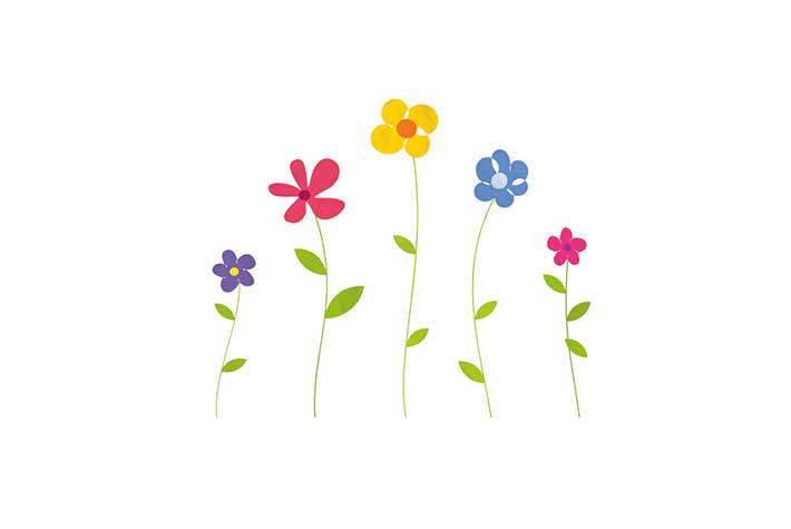 WONDERFUL WILDFLOWERS