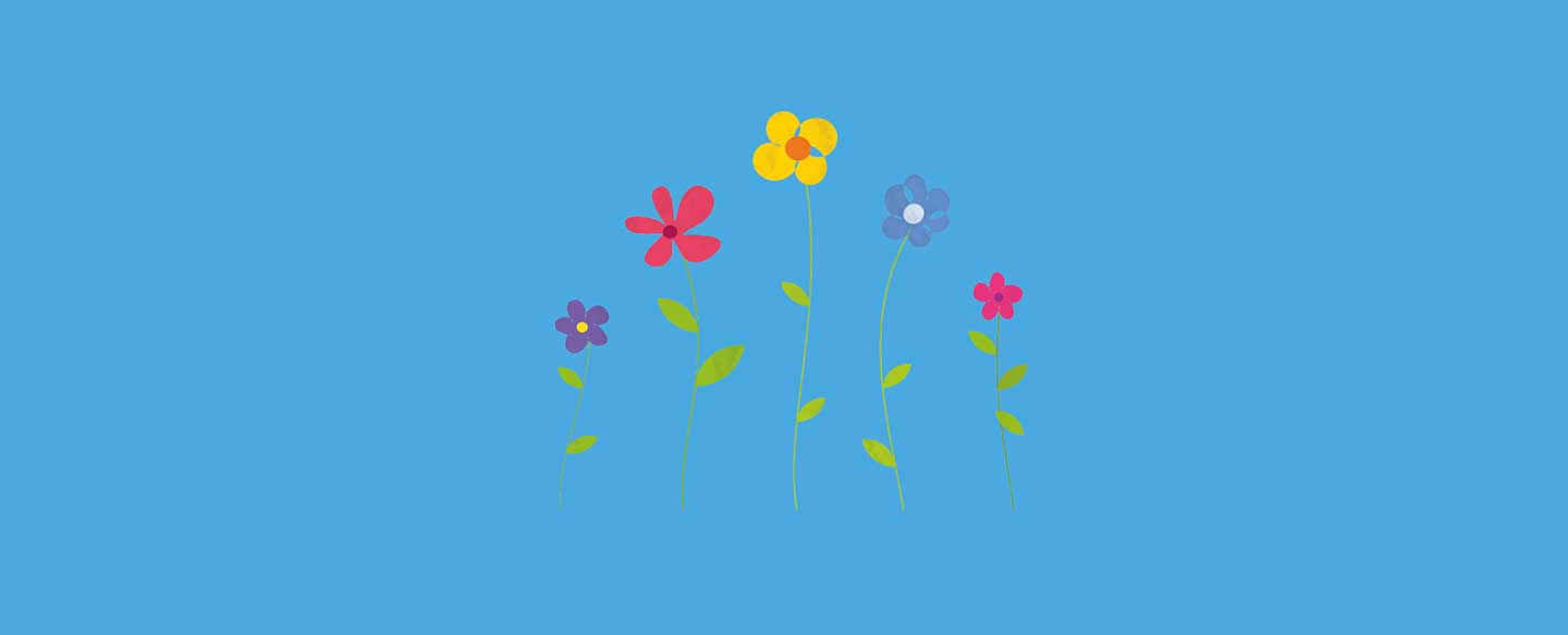 WONDERFUL WILDFLOWERS