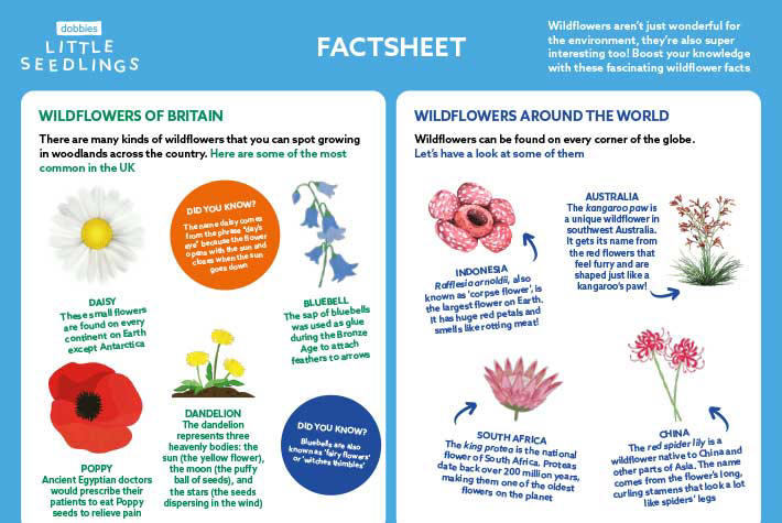 Wonderful Wildflowers Factsheet