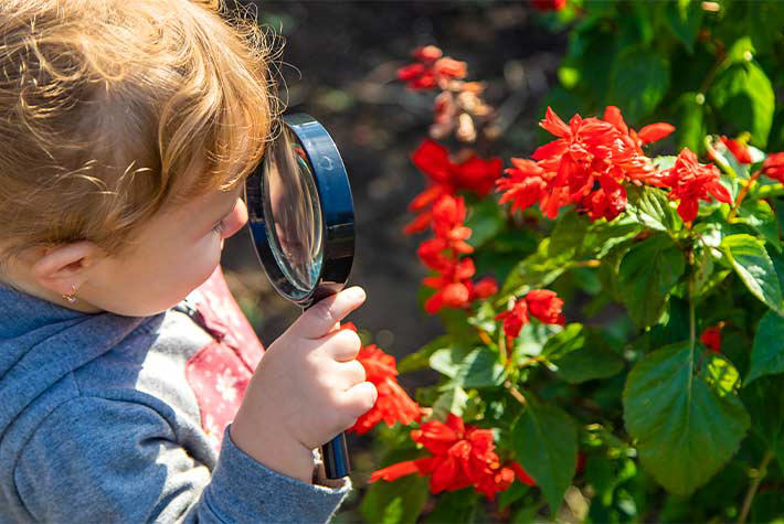 Garden Watering Adventure
