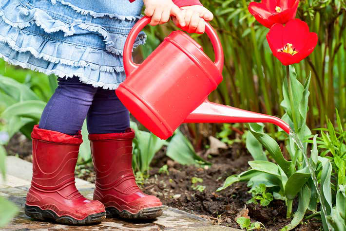 Garden Watering Adventure
