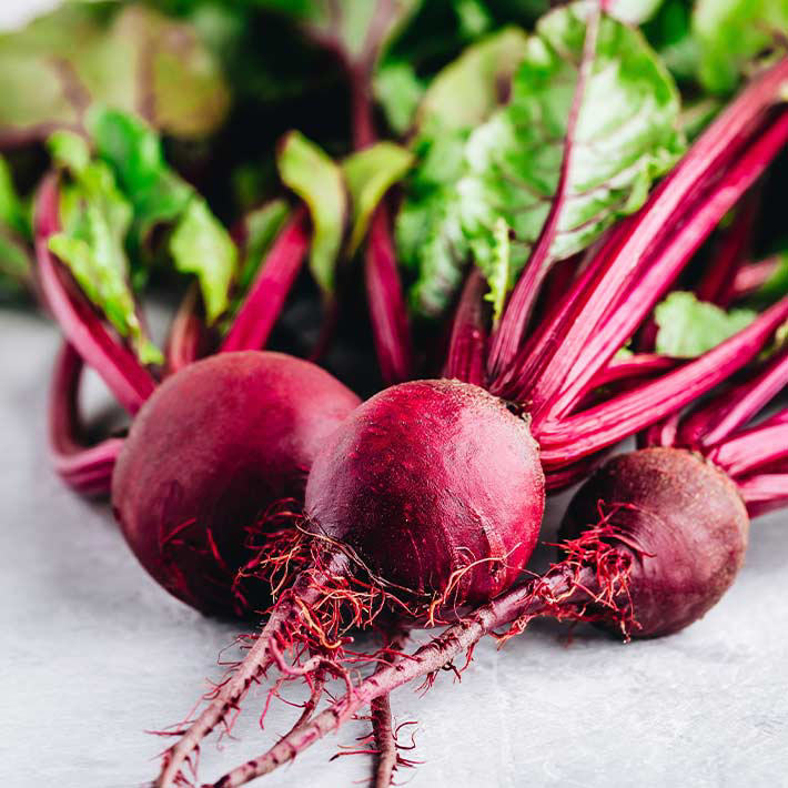 Summer loving gardens