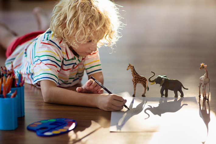 Summer loving gardens