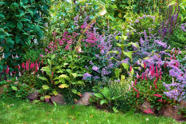 Summer loving gardens