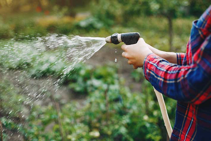 Garden Watering