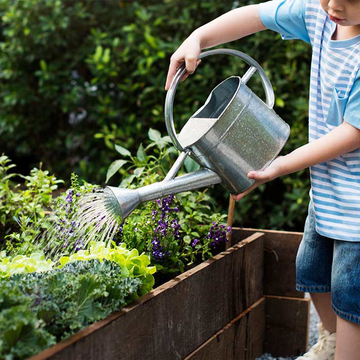 Garden Watering
