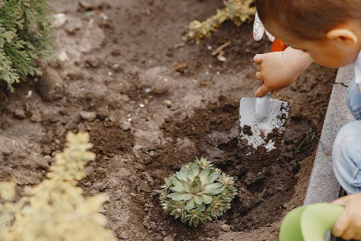 Garden Watering Adventure
