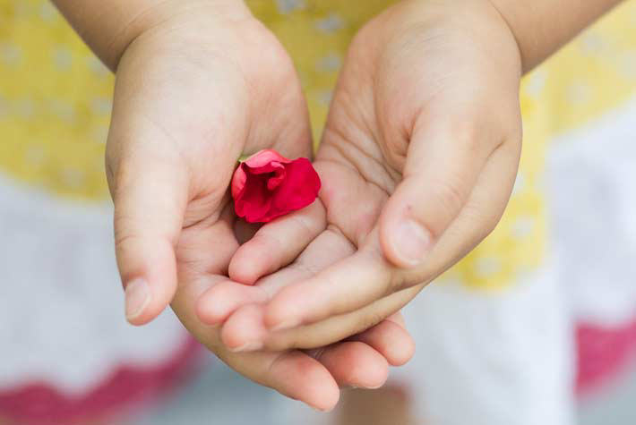 Make your own petal perfume
