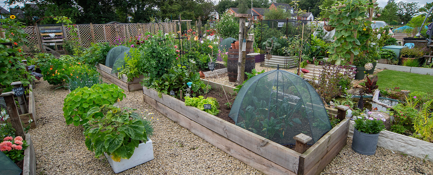Allotment advice with Jenny