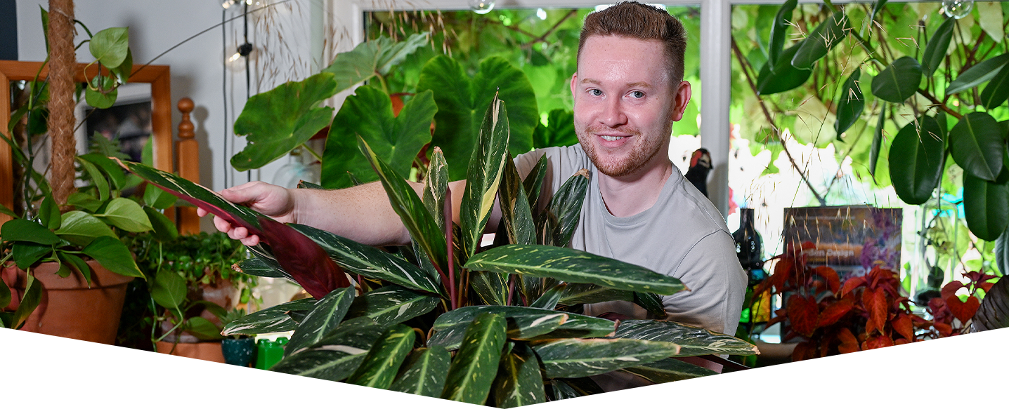 Create a houseplant haven with Phillip