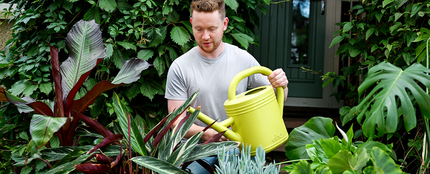 Create a houseplant haven with Phillip