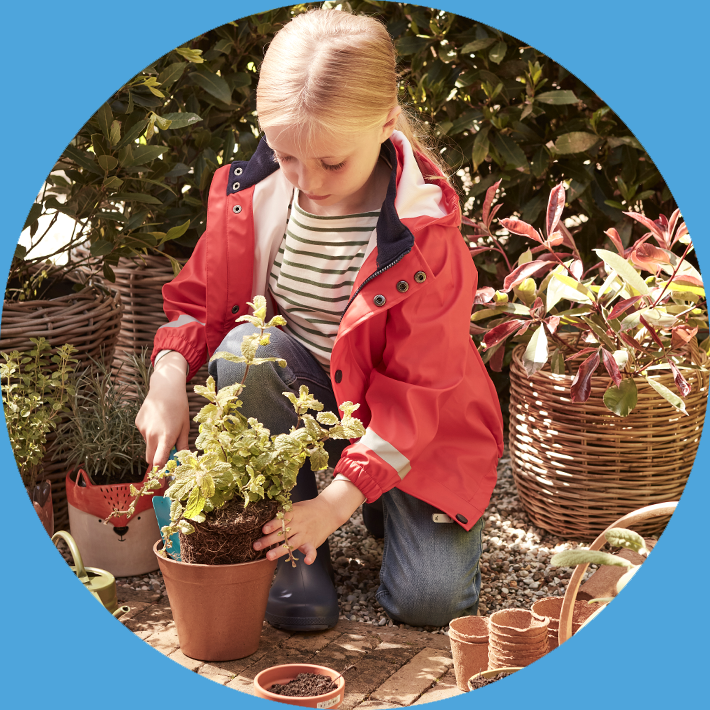 Activity of the month