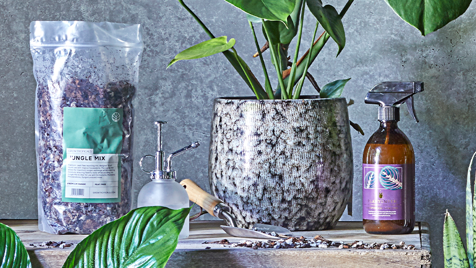 Don't forget your plant care