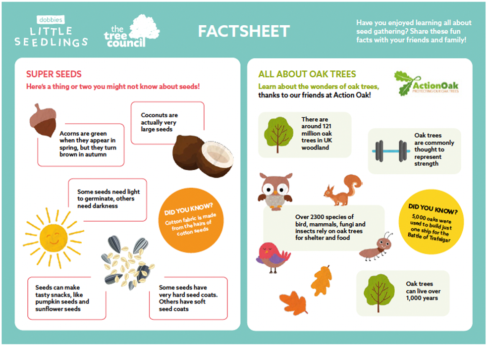 Seed Gathering Factsheet