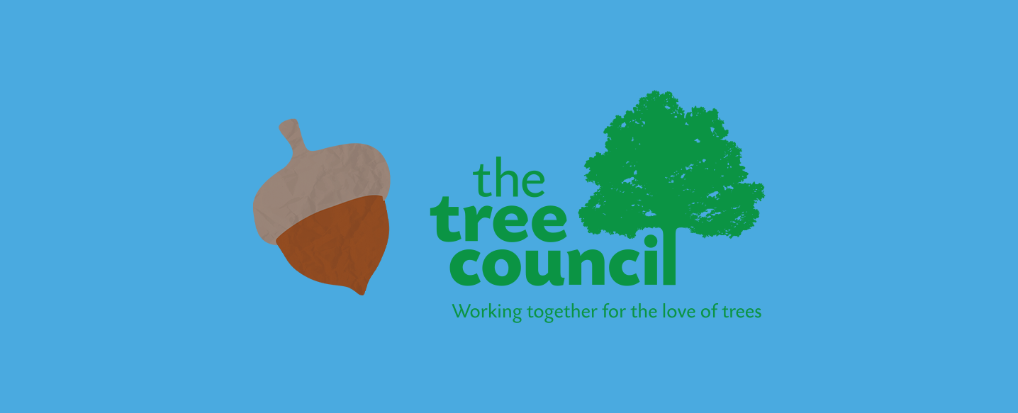 Seed gathering in partnership with The Tree Council
