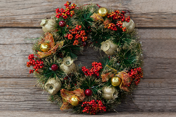 Learn about Christmas gifts in the garden