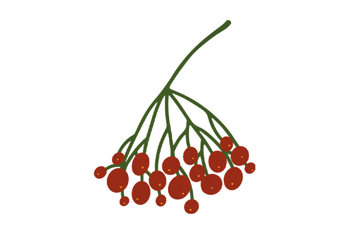 Christmas gifts from the garden