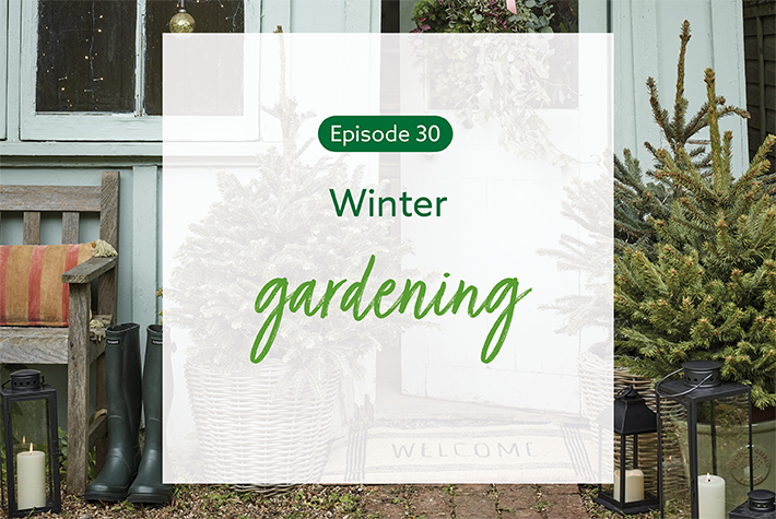 Episode 30 Winter Gardening