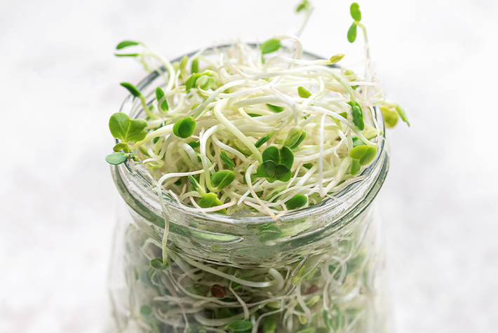 Grow cress in jars