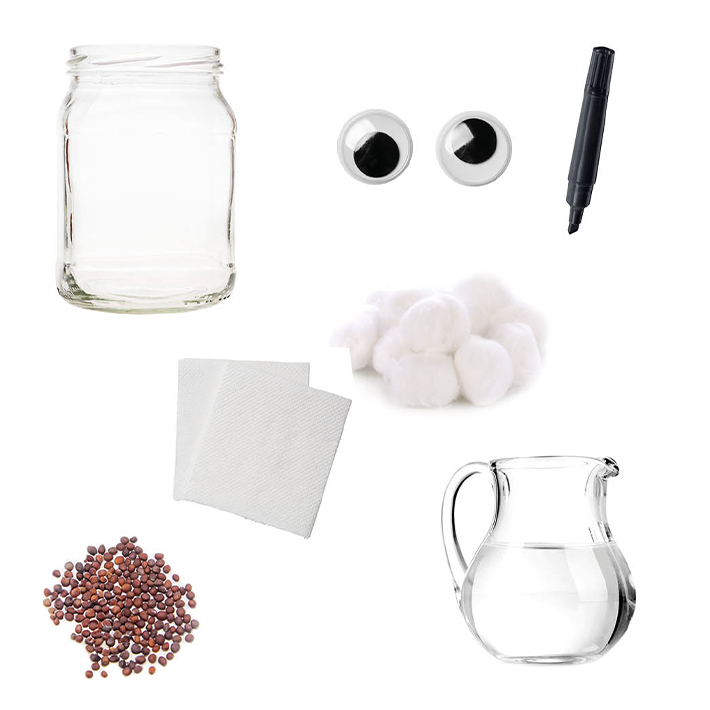 Growing cress in jars