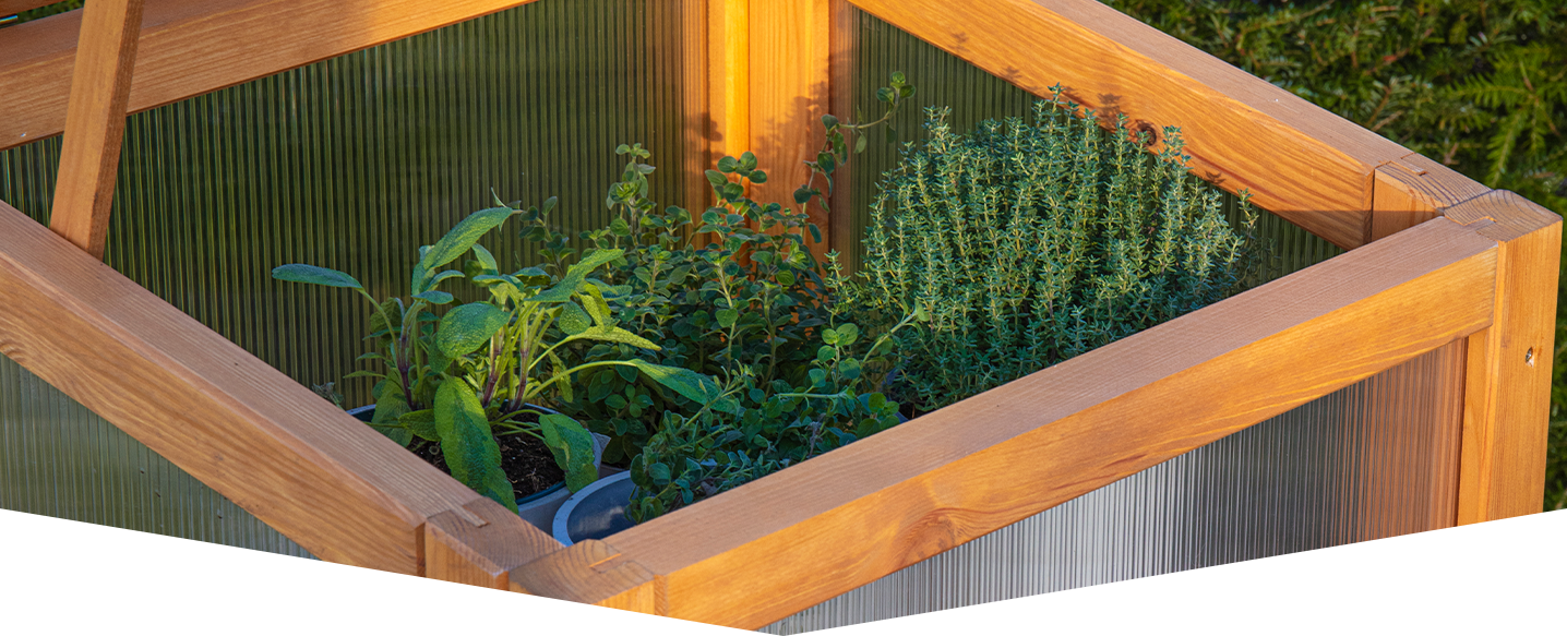 Protect plants from frost and pests