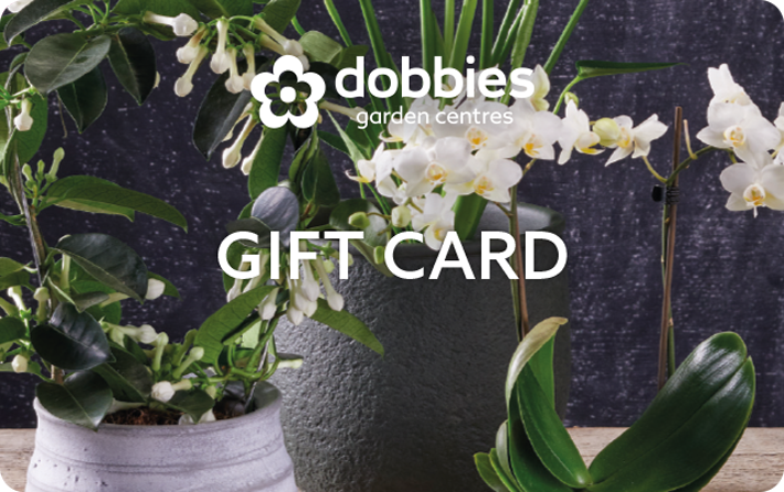 Dobbies Houseplants Gift Card