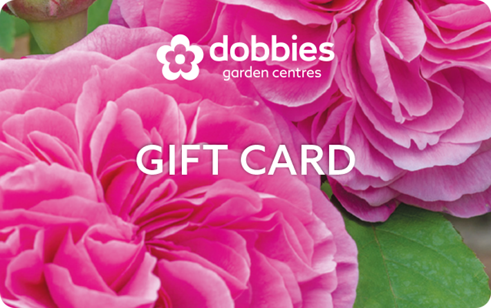 Dobbies Pink Rose Gift Card