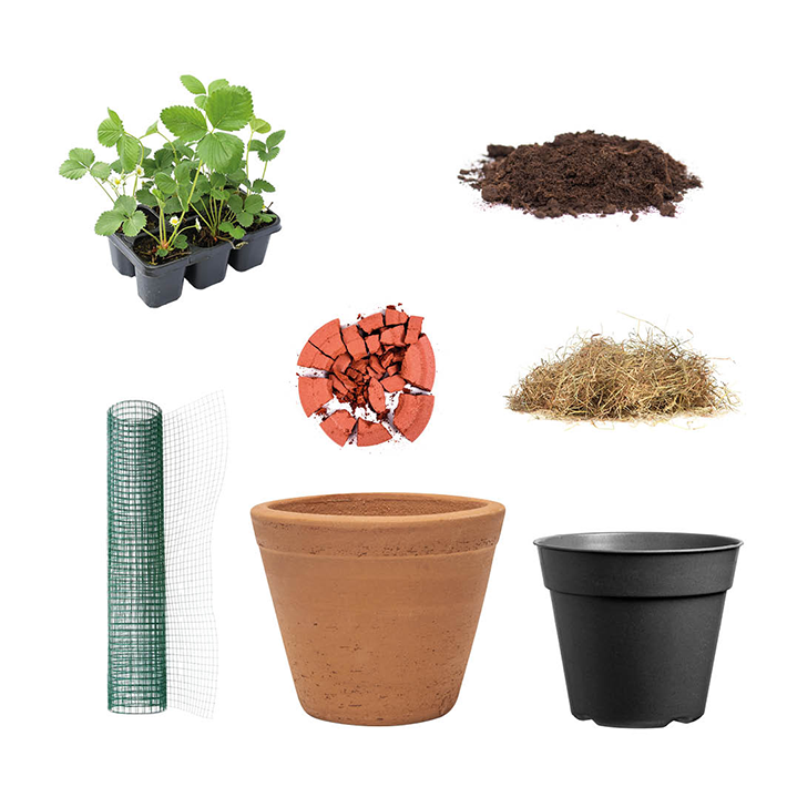 Grow your own strawberries-Materials