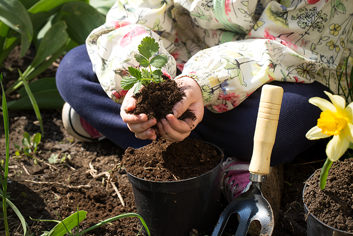 little-girl-planting