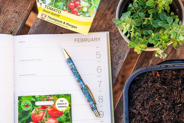 Gardening tips for February