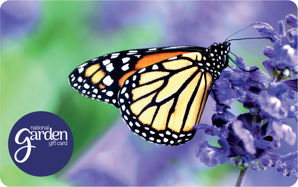 Monarch Butterfly - National Garden Gift Card