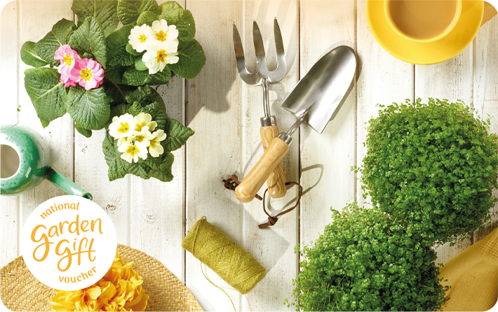 Yellow Table - National Garden Gift Card