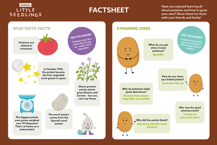 Little Seedlings Potatoes Factsheet